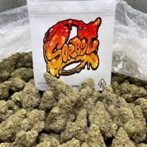 Discover Sorbet Cannabis Weed Strain: balanced effects, sweet creamy flavor, uplifting relaxation, and vibrant buds for an exceptional experience.
