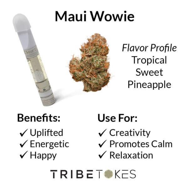 Sativa vape disposable, Maui Wowie Strain for sale, cbd vape pens for anxiety price, maui wowie maui, hhc disposable pen, what strain is maui wowie ?