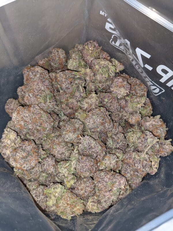 Packman GrandDaddy Urkle Weed: a relaxing hybrid with sweet grape flavors, calming effects, and visually stunning purple buds.