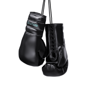 Boutiq Boxing Gloves