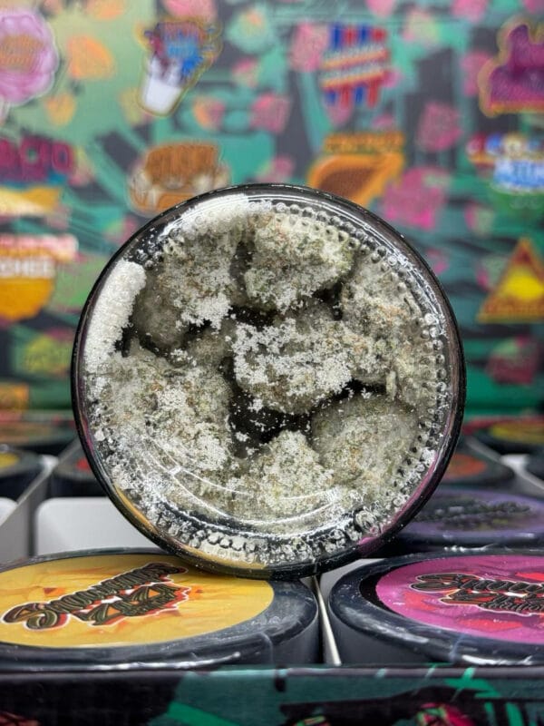 Buy persy mini snowballs zaza edition online - Best Quality